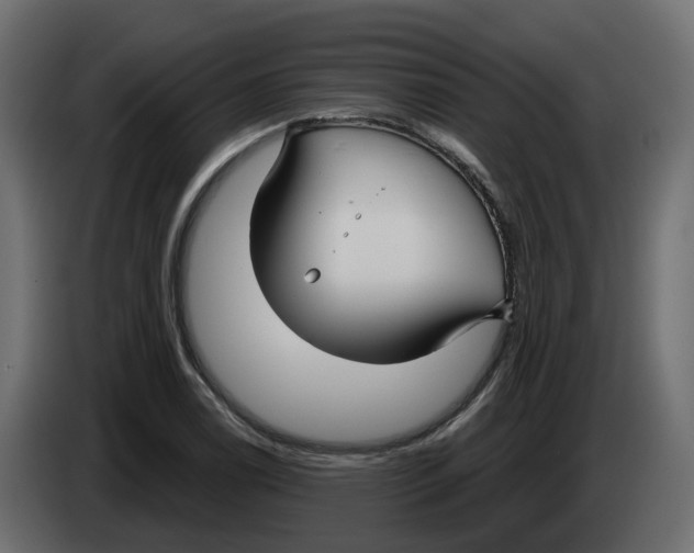 X0000083591122200703021837
