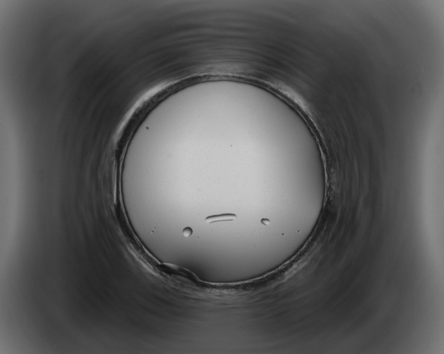 X0000083591123200703021837