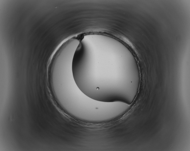 X0000083591124200703021837
