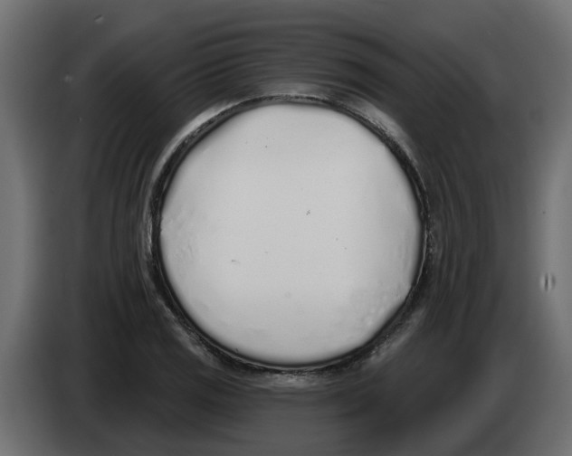 X0000083591125200703021837