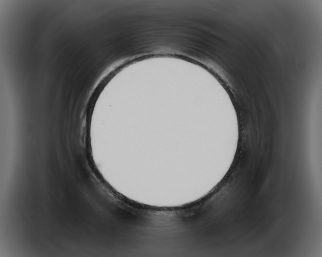 X0000083591126200703021837