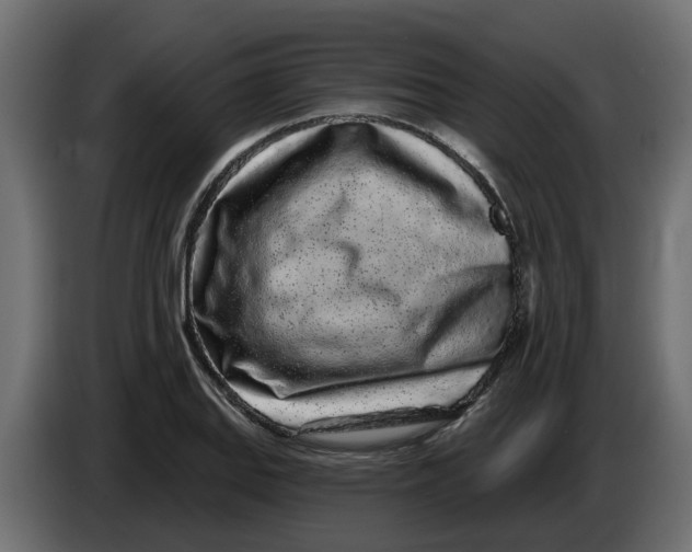 X0000083591127200703021837