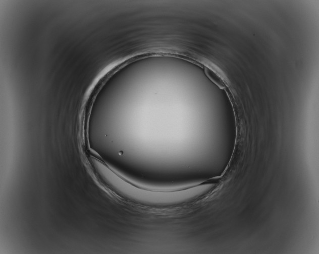 X0000083591128200703021837