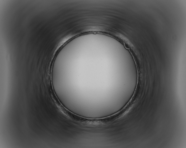 X0000083591129200703021837