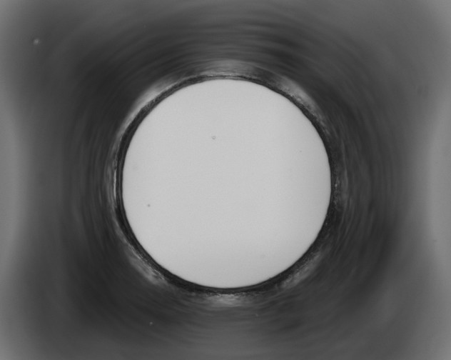 X0000083591130200703021837