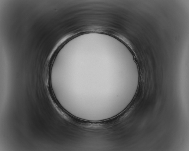 X0000083591131200703021837