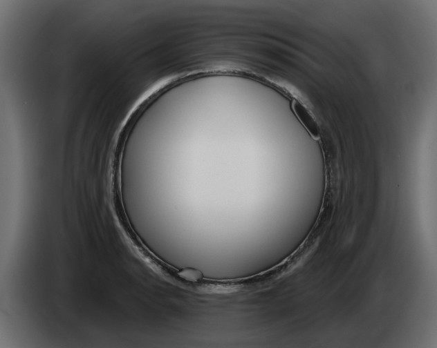 X0000083591134200703021837