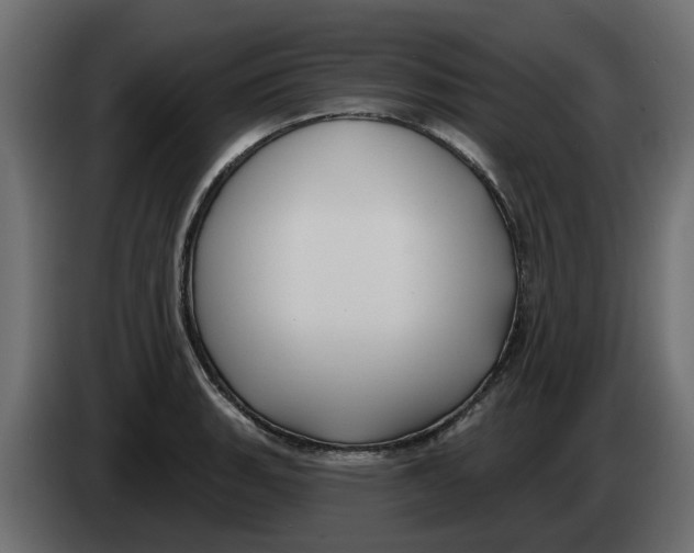 X0000083591135200703021837