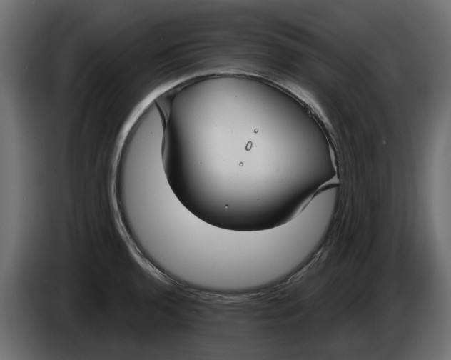 X0000083591136200703021837