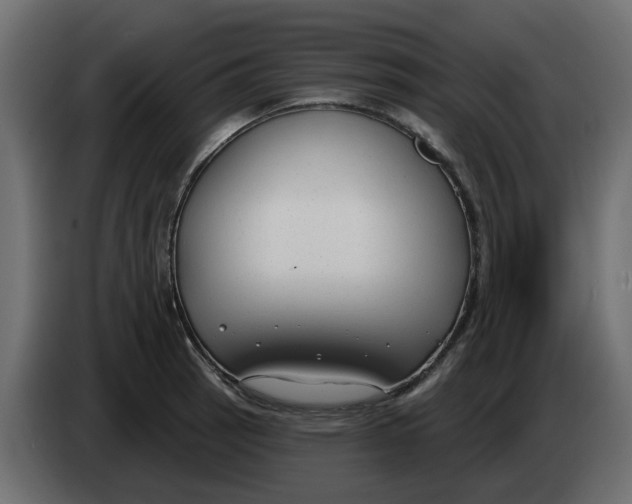 X0000083591137200703021837