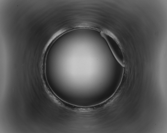 X0000083591138200703021837