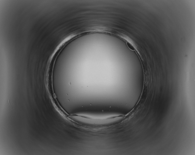 X0000083591139200703021837