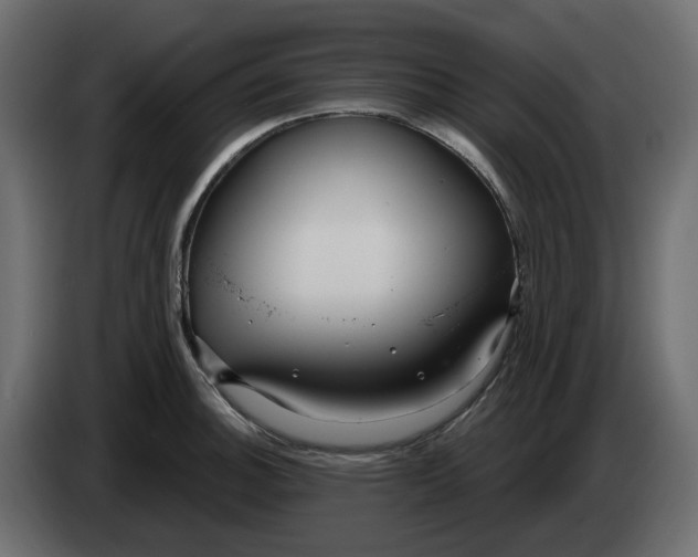 X0000083591140200703021837