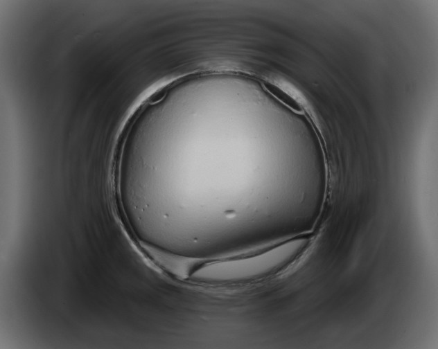 X0000083591141200703021837
