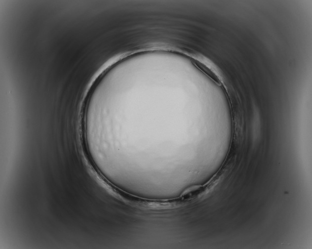 X0000083591142200703021837