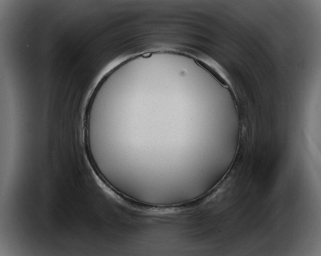 X0000083591143200703021837