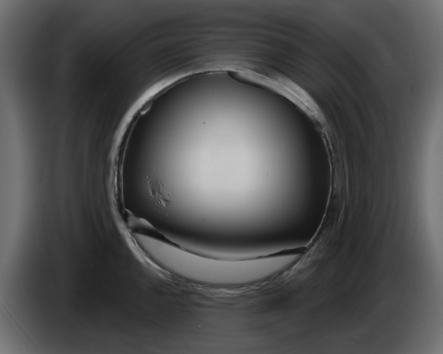 X0000083591144200703021837