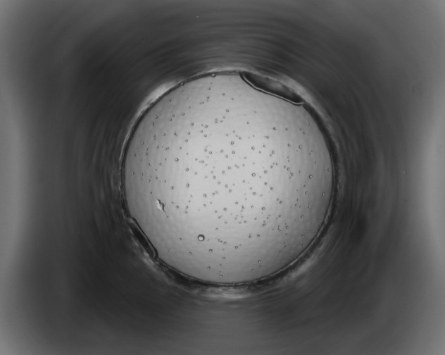 X0000083591145200703021837