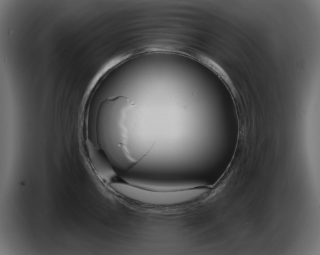 X0000083591146200703021837