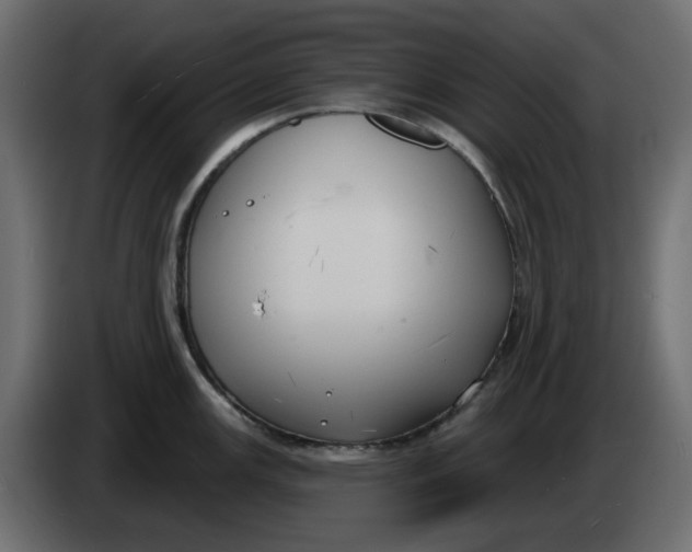 X0000083591147200703021837