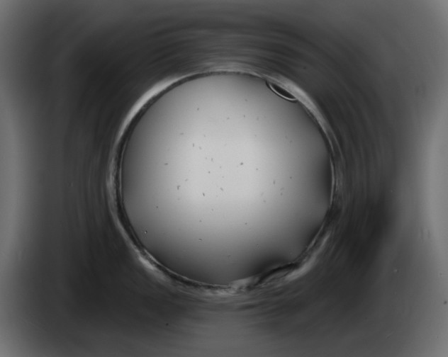X0000083591149200703021837