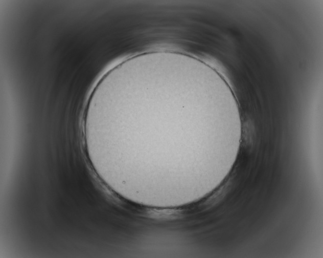 X0000083591150200703021837