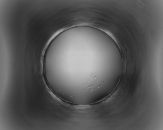 X0000083591151200703021837
