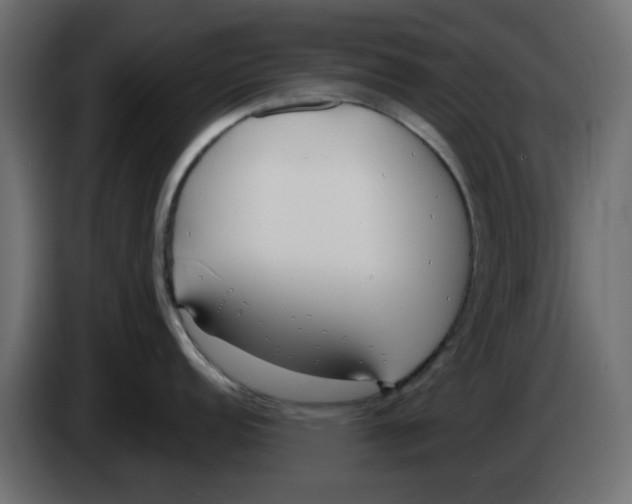 X0000083591152200703021837