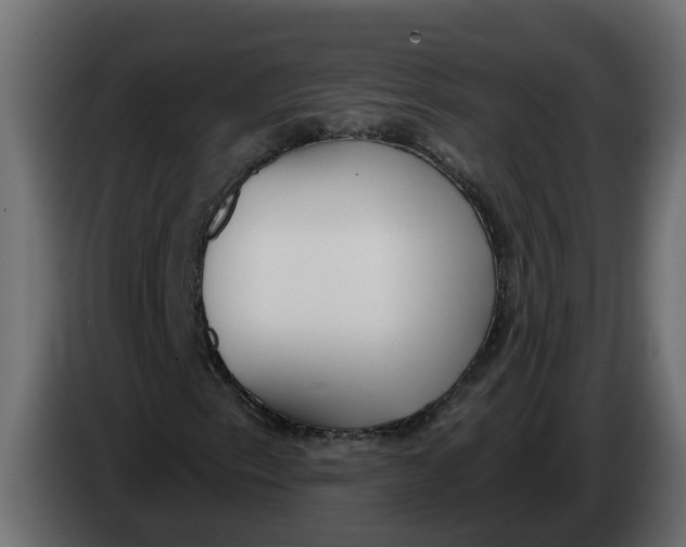 X0000083591153200703021837