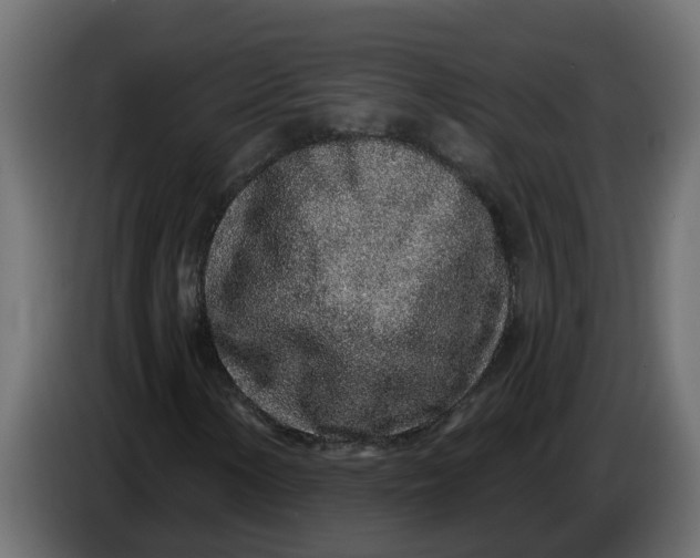X0000083591154200703021837