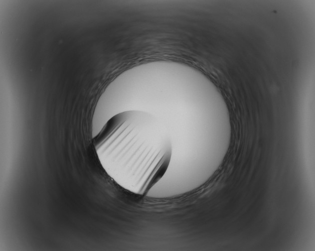 X0000083591156200703021836