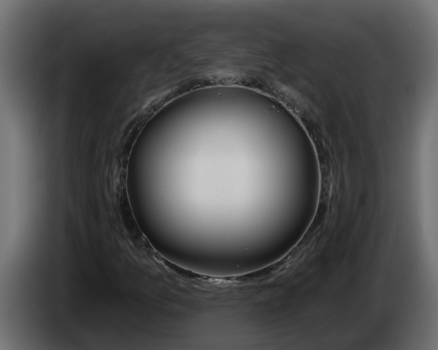 X0000083591157200703021836