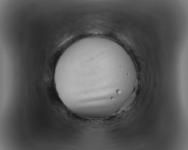 X0000083591158200703021836