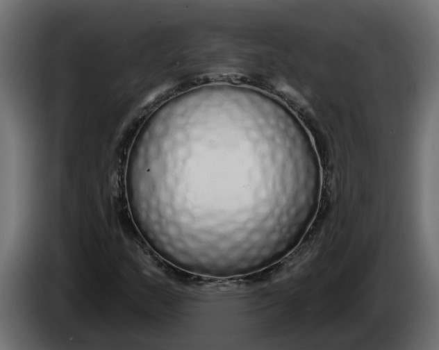 X0000083591159200703021836