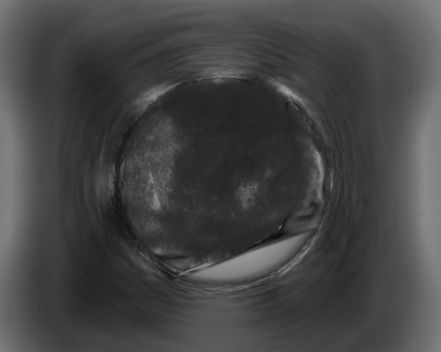X0000083591161200703021836
