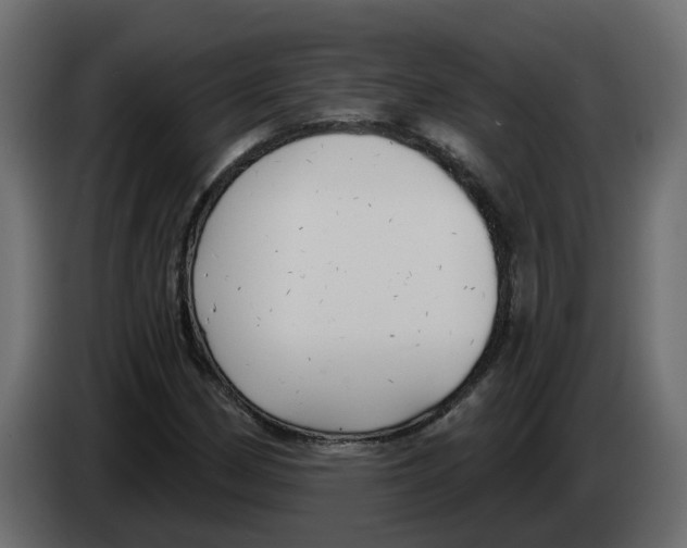X0000083591162200703021836