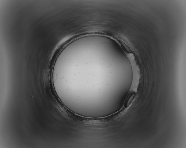 X0000083591164200703021836