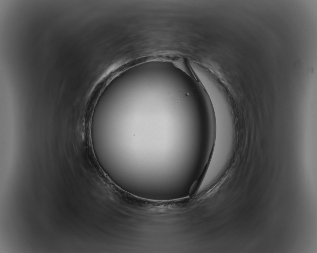 X0000083591165200703021836