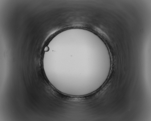 X0000083591166200703021836