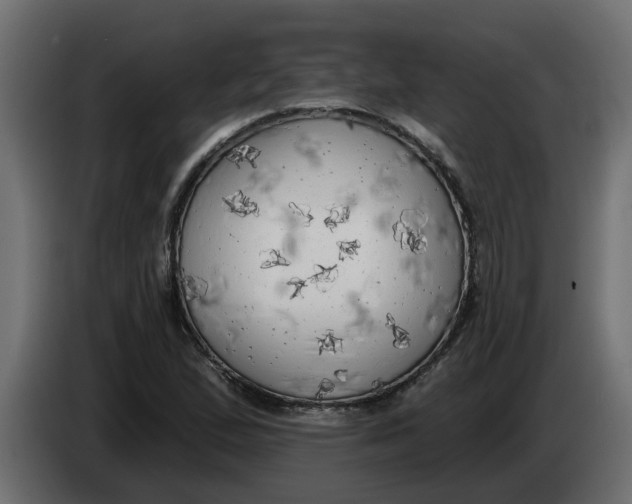 X0000083591167200703021836