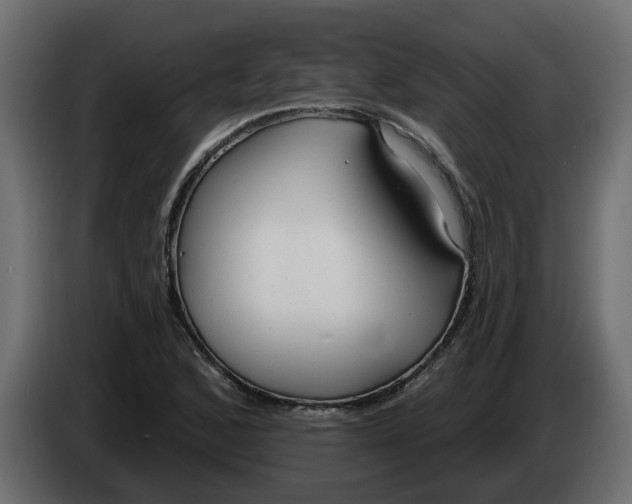 X0000083591168200703021836