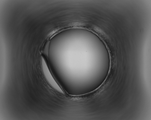 X0000083591169200703021836