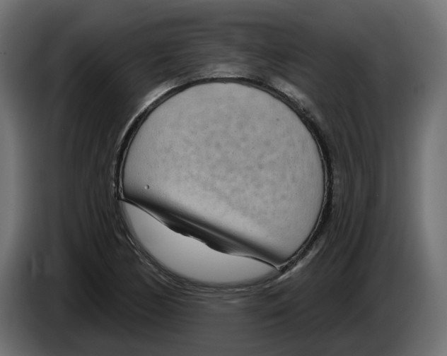 X0000083591170200703021836