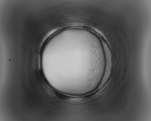 X0000083591171200703021836