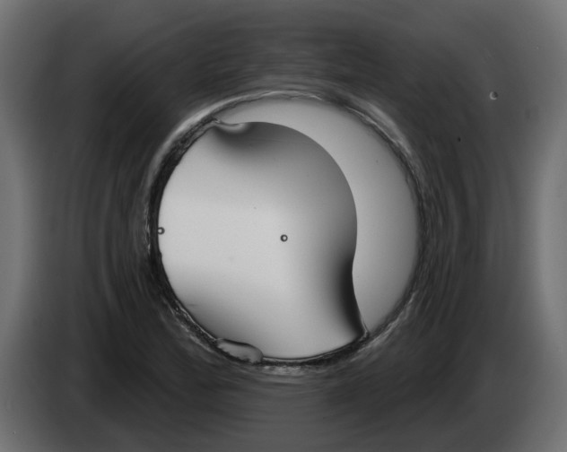 X0000083591172200703021836
