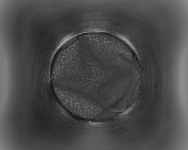 X0000083591173200703021836