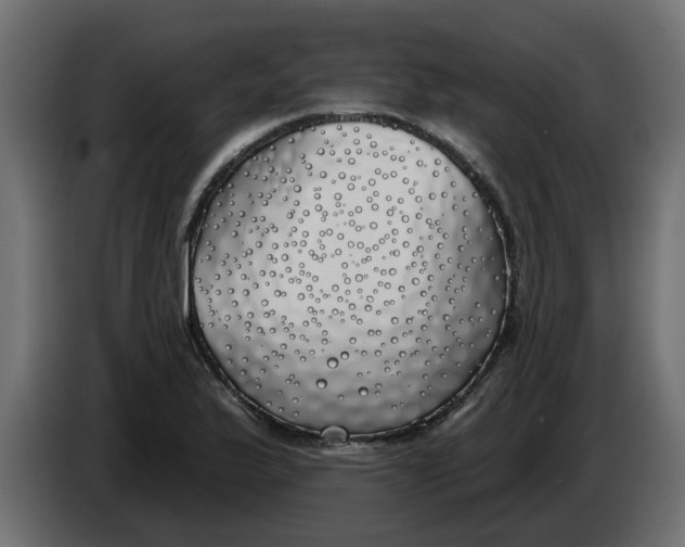 X0000083591175200703021836