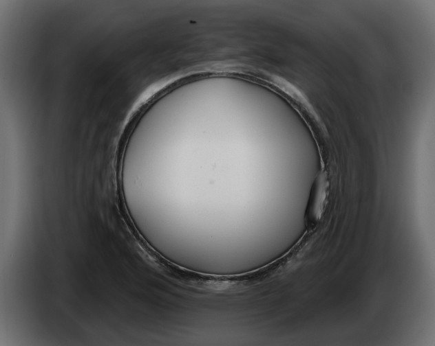 X0000083591176200703021836