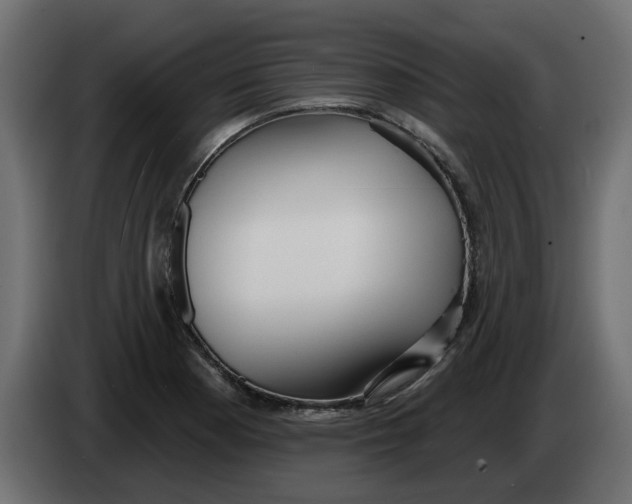 X0000083591177200703021836