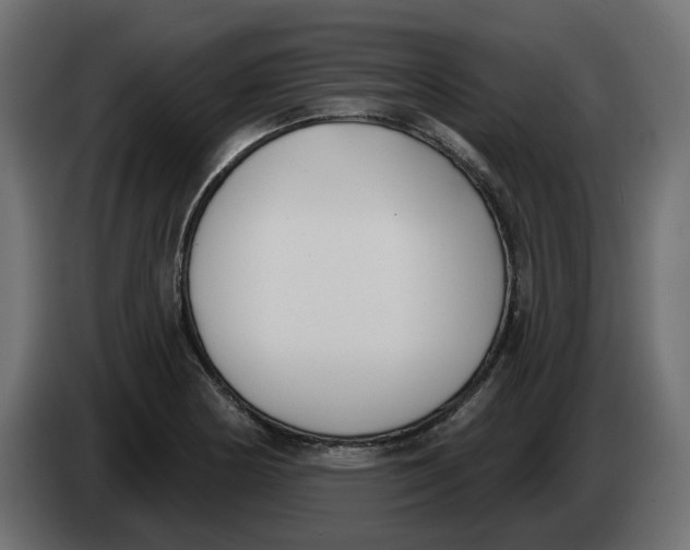 X0000083591178200703021836